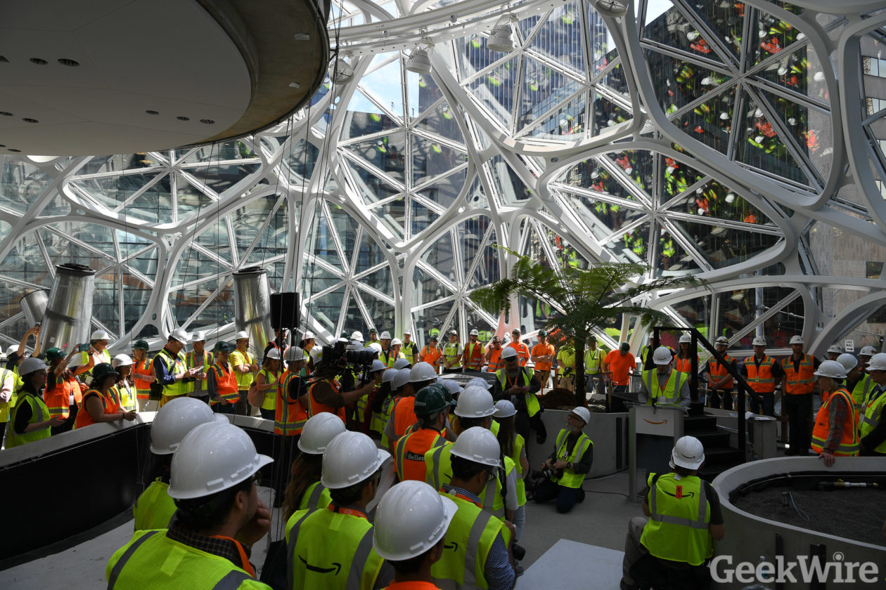 Amazon Spheres first planting
